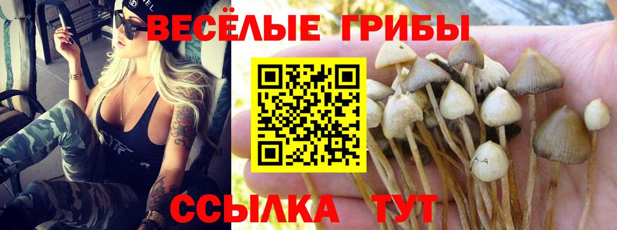 Галлюциногенные грибы MAGIC MUSHROOMS Курчалой
