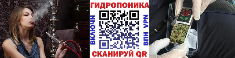 даркнет сайт  Курчалой  Конопля план 